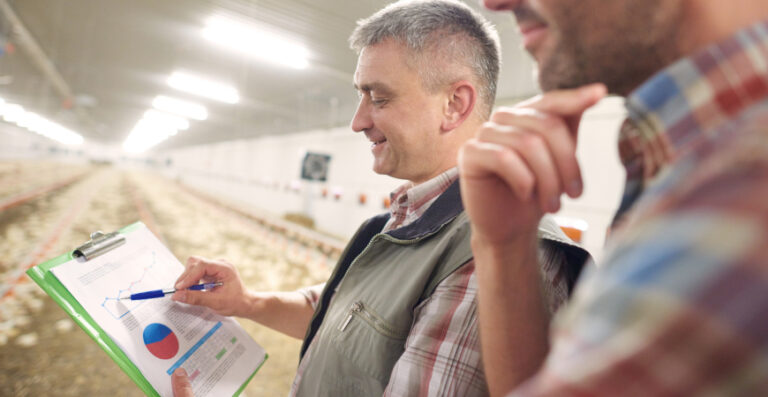 Produtores analisando dados e relatórios no campo, mostrando contabilidade rural como organizar a gestão e evitar problemas fiscais.